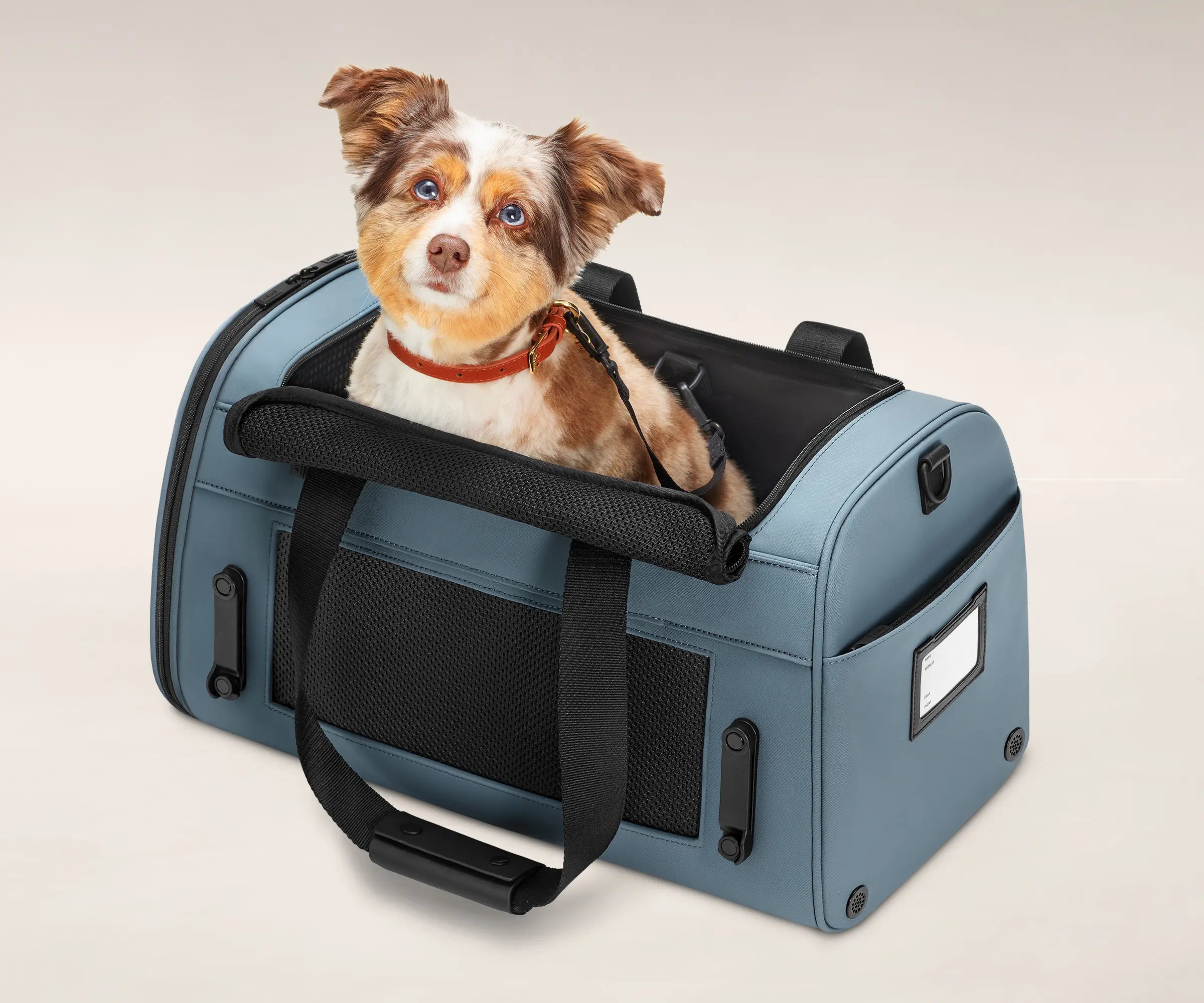 PET CARRIER