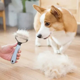 PET GROOMING