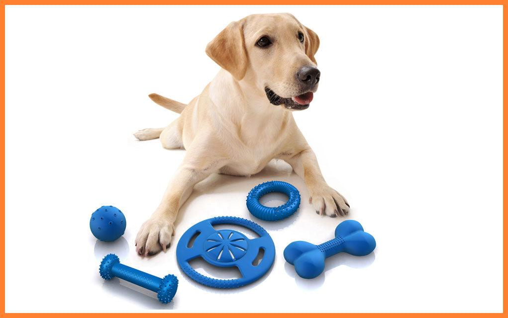 PET TOYS