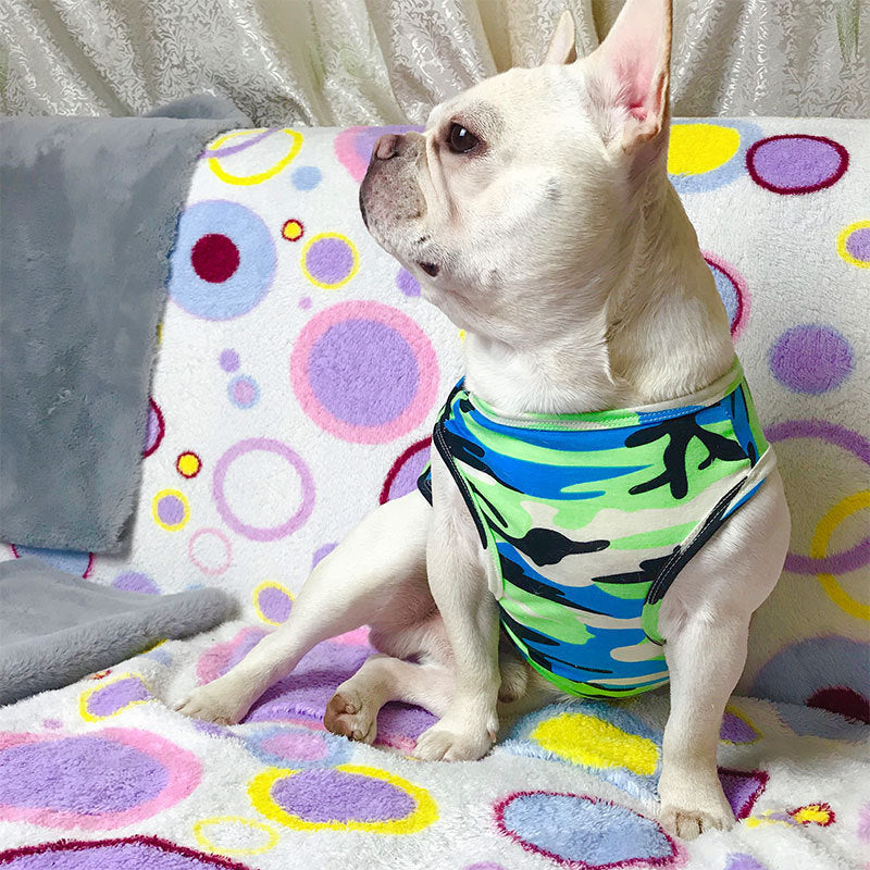 SummerStyle™ Fashion Pet T-Shirt