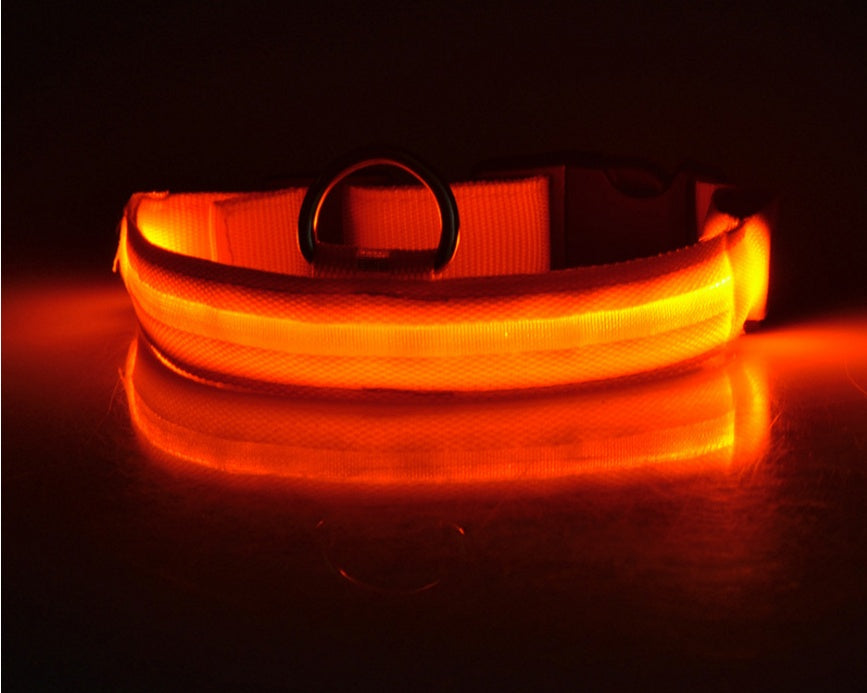 GlowGuard™ LED Pet Collar