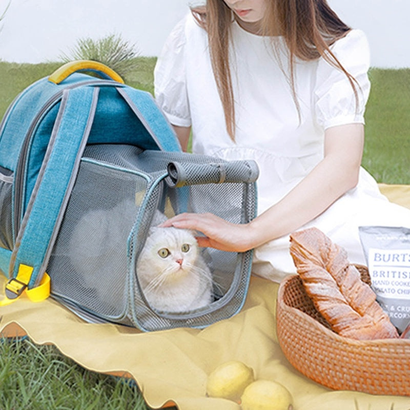 EcoVent™ Foldable Mesh Pet Backpack