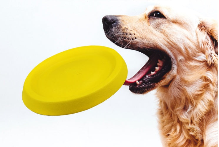 FetchFun™ EVA Throwing Toy for Dogs