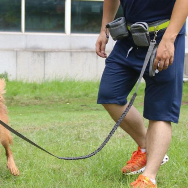 FlexiRun™ Adjustable Hands-Free Dog Leash