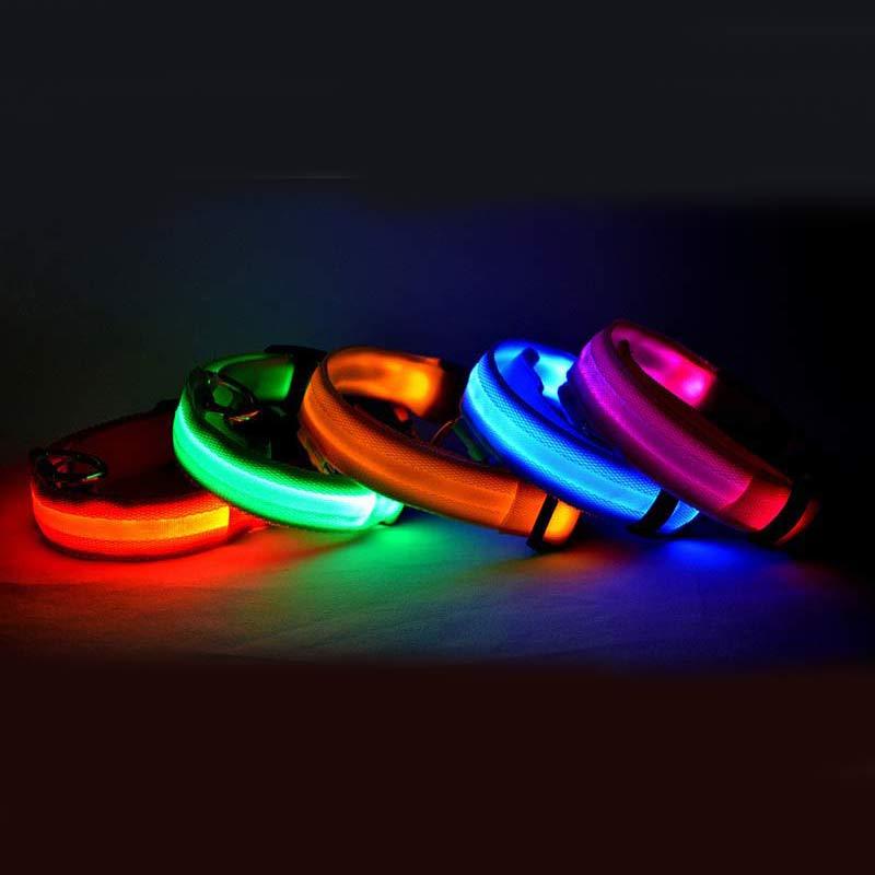 GlowGuard™ LED Pet Collar