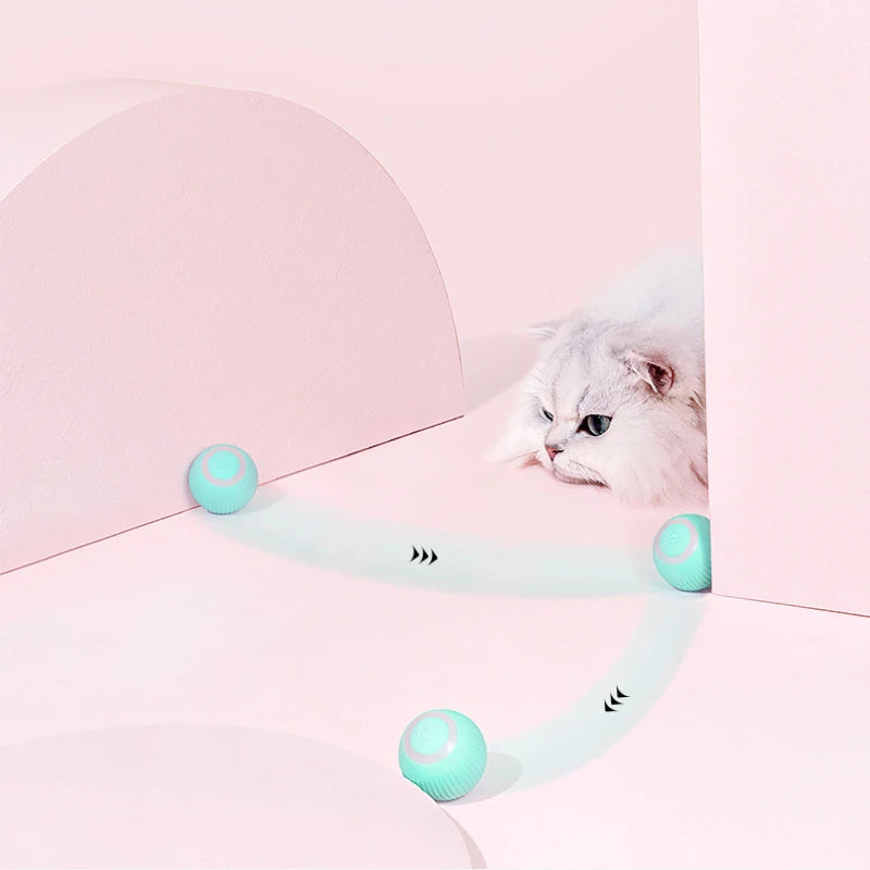 Crazy-Joy™ Remote Control Interactive Cat Car Toy