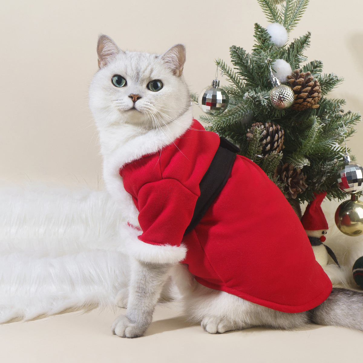 Festive Snuggles: Holiday Pet Apparel