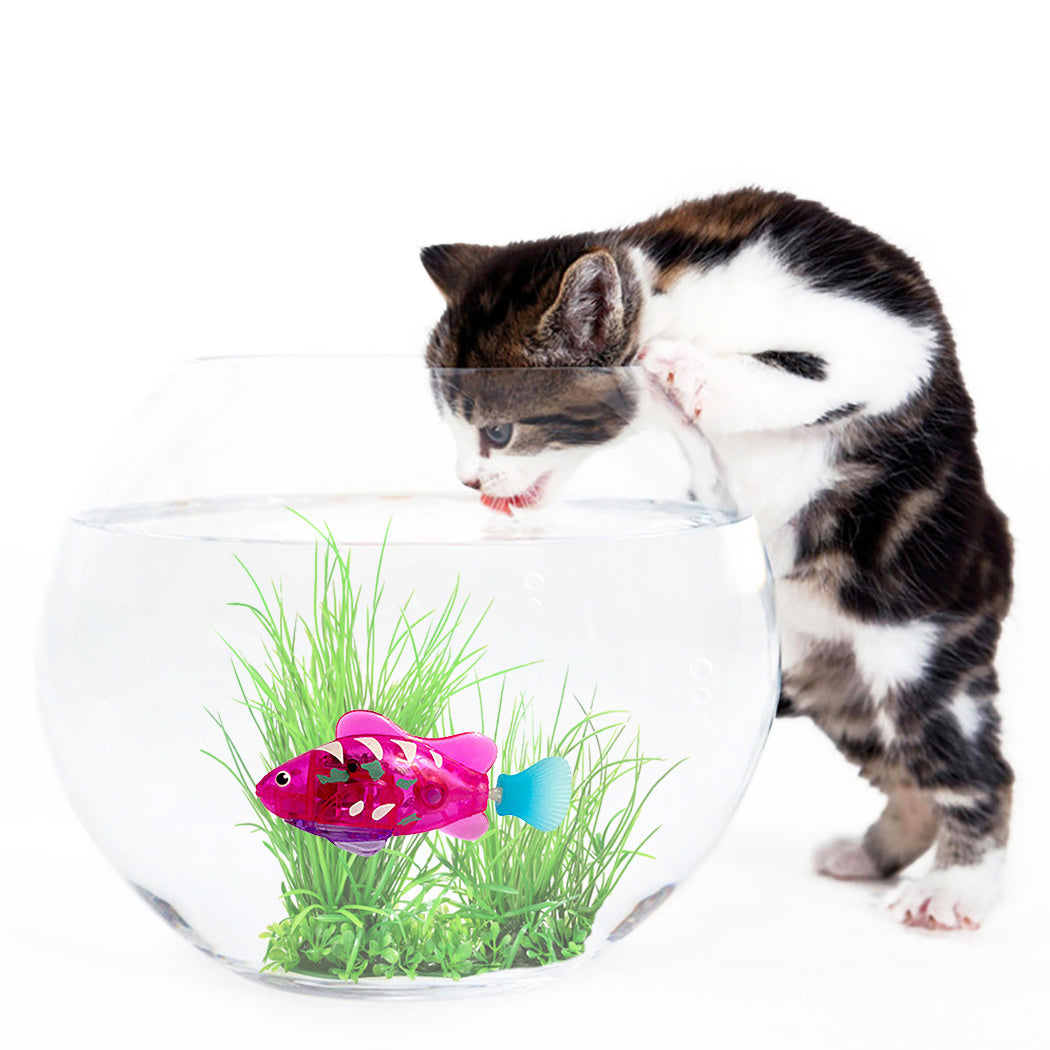 SwimSpark™ LED Cat Fish Toy