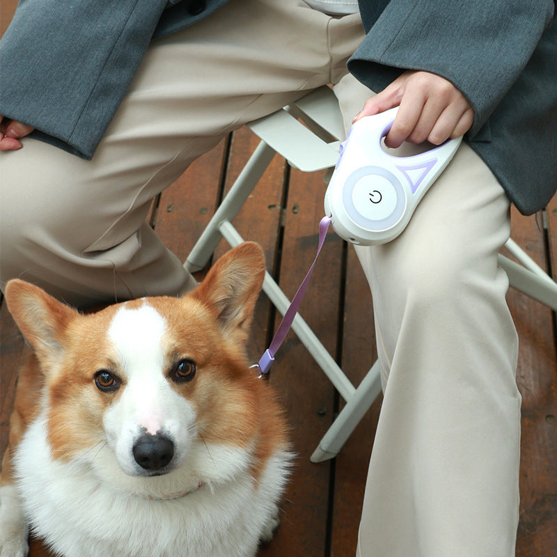 SpotLight™ Retractable Dog Leash and Collar Set