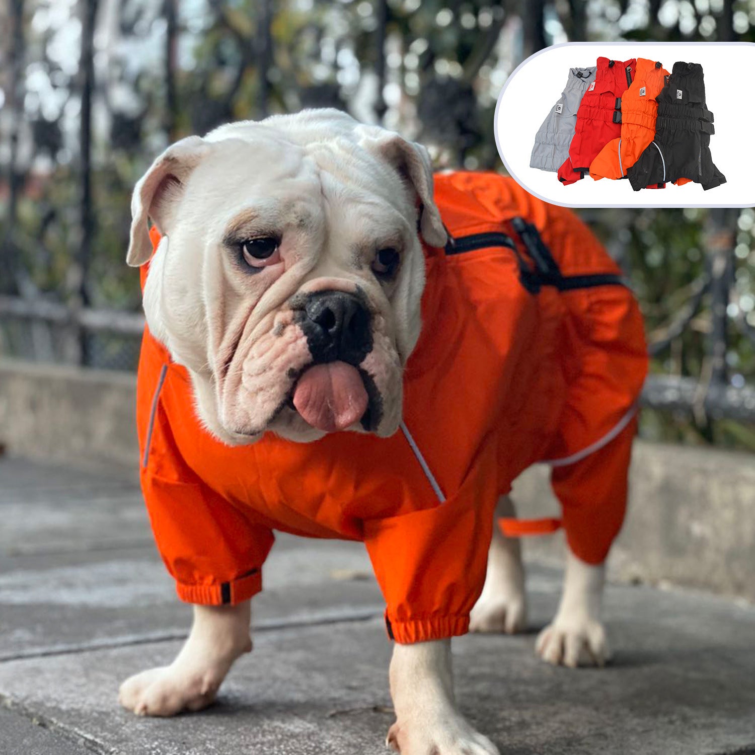 RainGuard™ Four-Legged Dog Raincoat