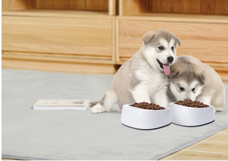 PETKIT Smart Dog Bowl with Scale