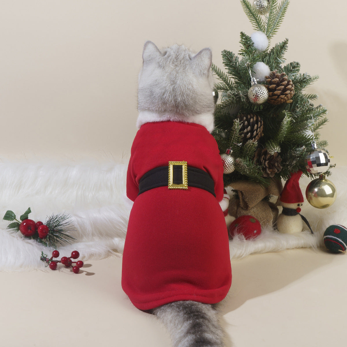 Festive Snuggles: Holiday Pet Apparel