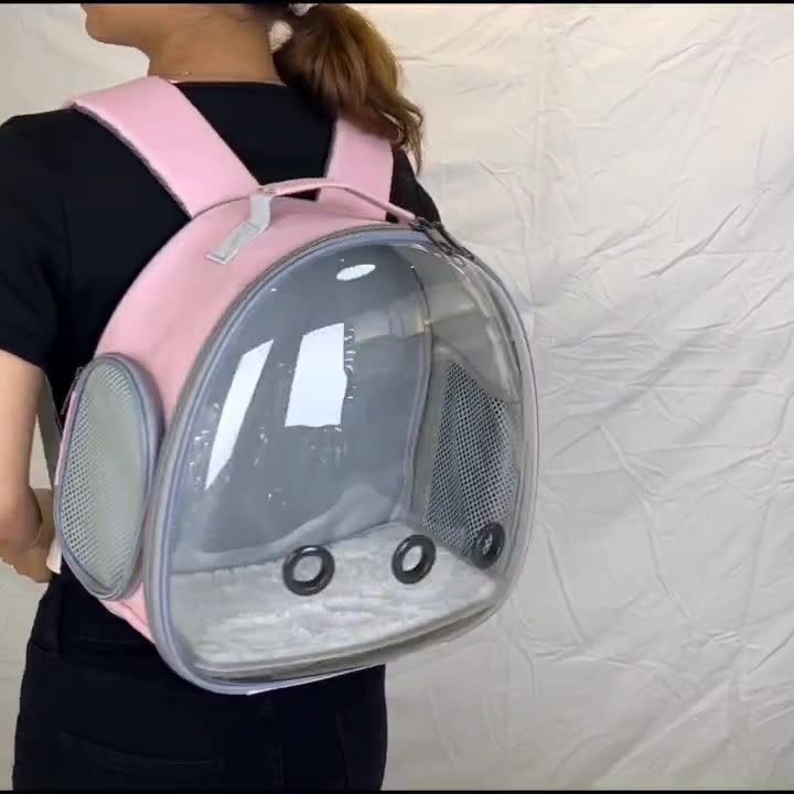 Pet Backpack Hamster Carrier Transparent Small Animal