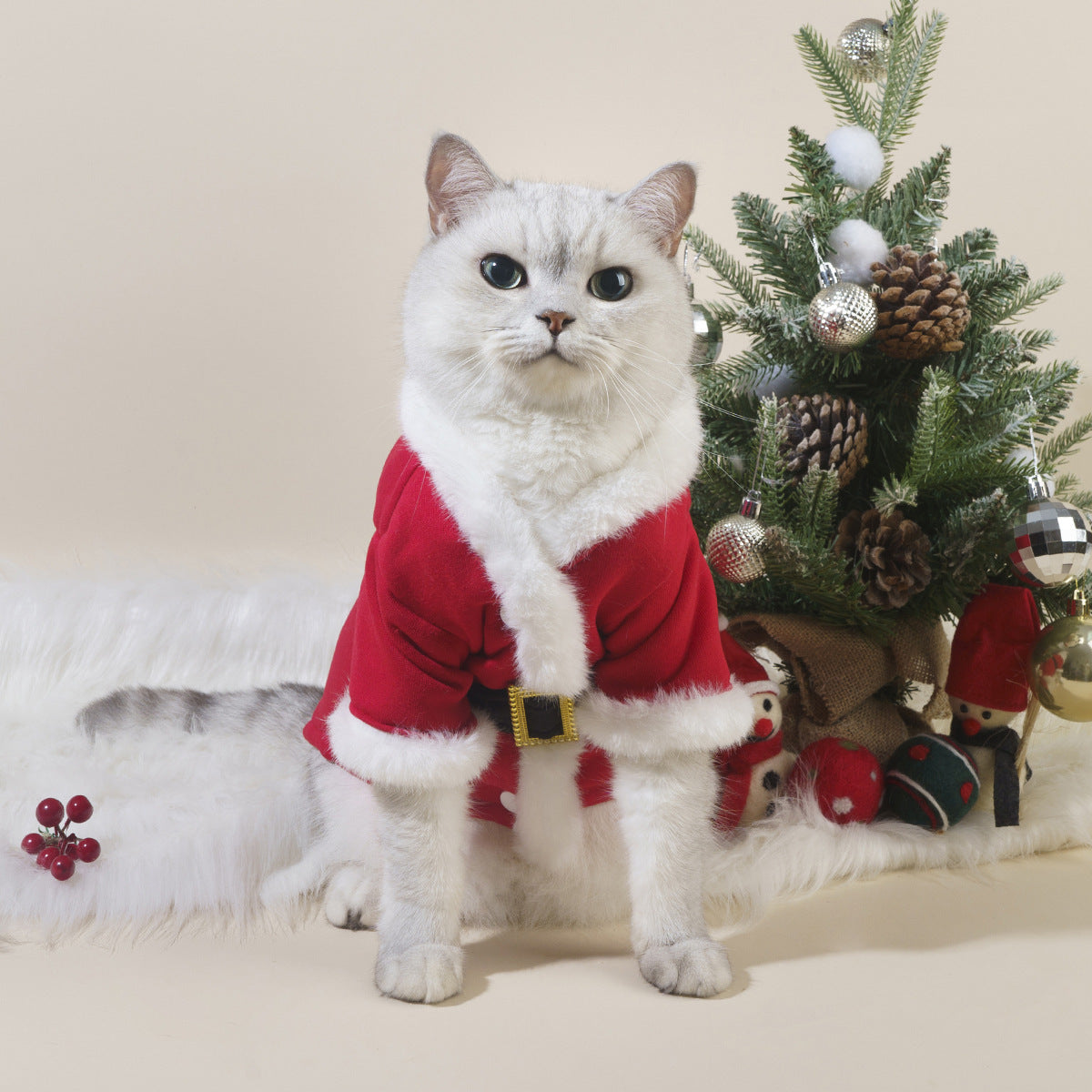 Festive Snuggles: Holiday Pet Apparel